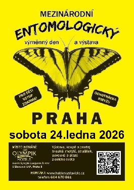Prodejn� v�stava brouk�, mot�l� a ostatn�ho hmyzu,