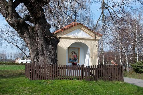 Omlouv�me se, ale obrazek nebyl dod�n