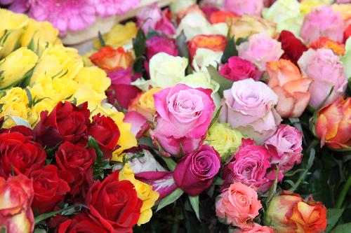 Omlouv�me se, ale obrazek nebyl dod�n