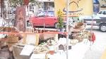 Omlouv�me se, ale obrazek nebyl dod�n