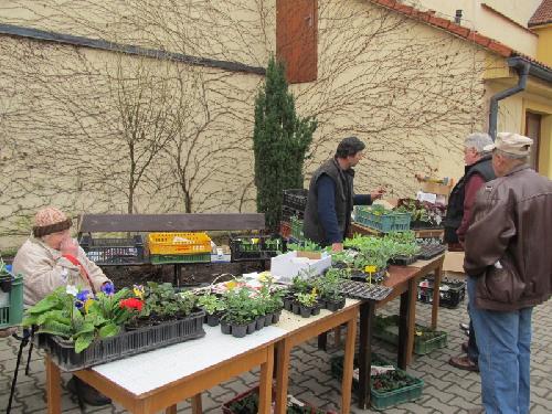 Omlouv�me se, ale obrazek nebyl dod�n