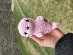 nahled