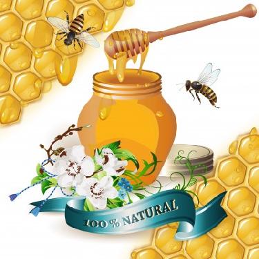 Omlouv�me se, ale obrazek nebyl dod�n