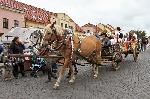 Omlouv�me se, ale obrazek nebyl dod�n