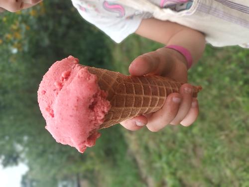 Omlouv�me se, ale obrazek nebyl dod�n