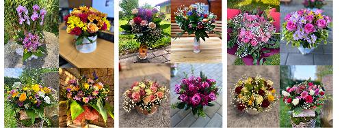 Omlouv�me se, ale obrazek nebyl dod�n